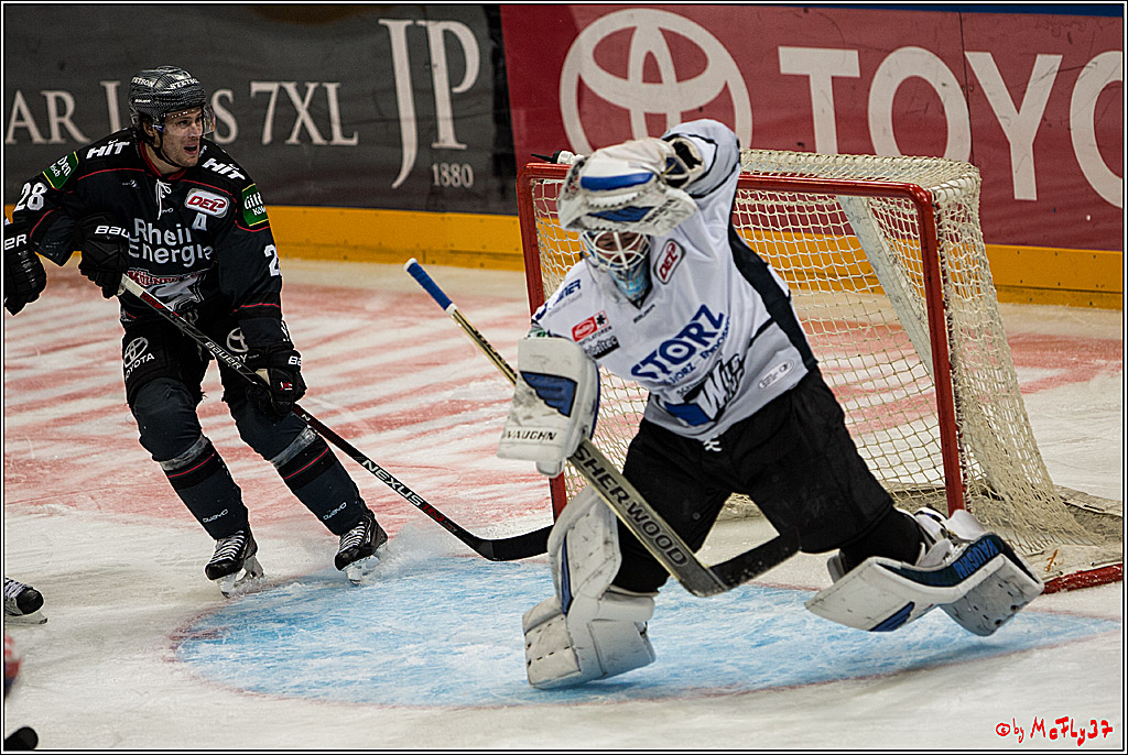 Koelner Haie - Schwenninger Wild Wings, 11.12.2016